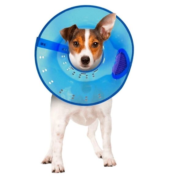 HOST PICK! Calm Paws Calming E-Collar - Picture 5 of 5